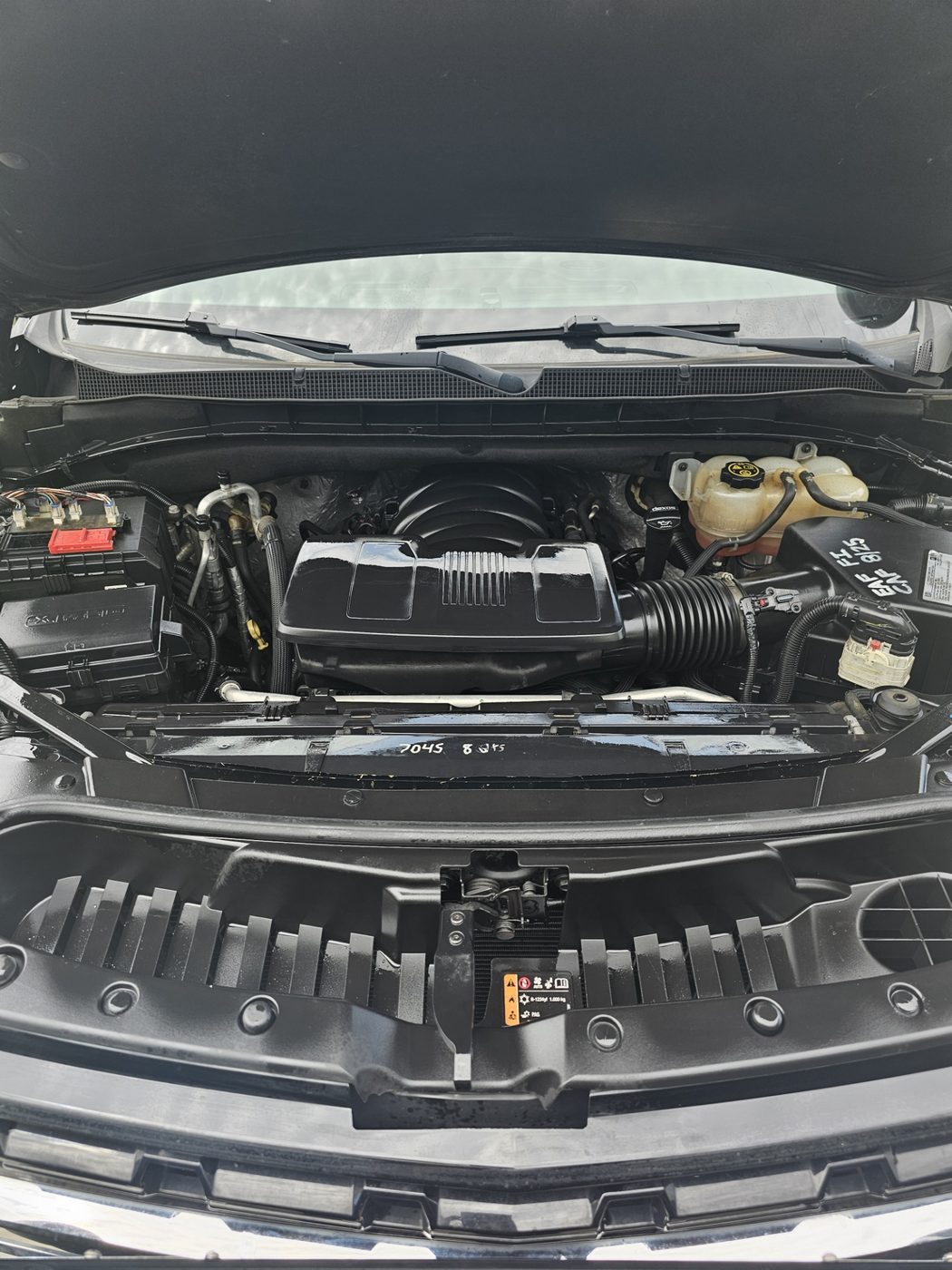 Engine bay after detailing